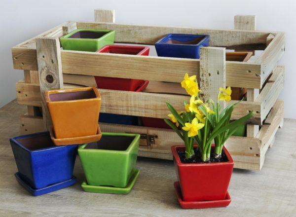 Photo of Campania Garden Terrace Brights Crate - Marquis Gardens