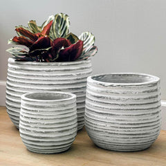 Photo of Campania Etage Planter Large - Grey and Whitewash - Set of 6 - Marquis Gardens