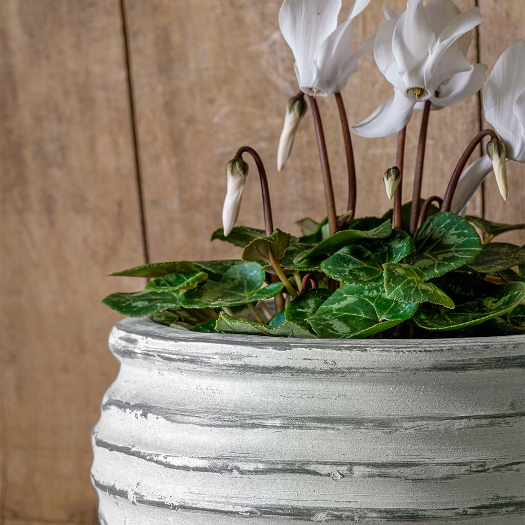 Photo of Campania Etage Bowl - Grey and Whitewash - Set of 6 - Marquis Gardens