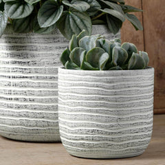 Photo of Campania Drift Planter - Dusty White - Set of 8 - Marquis Gardens