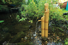 Photo of Aquascape Bamboo Fountains - Marquis Gardens