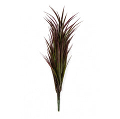 Photo of Purple Grass, 24"  - Marquis Gardens