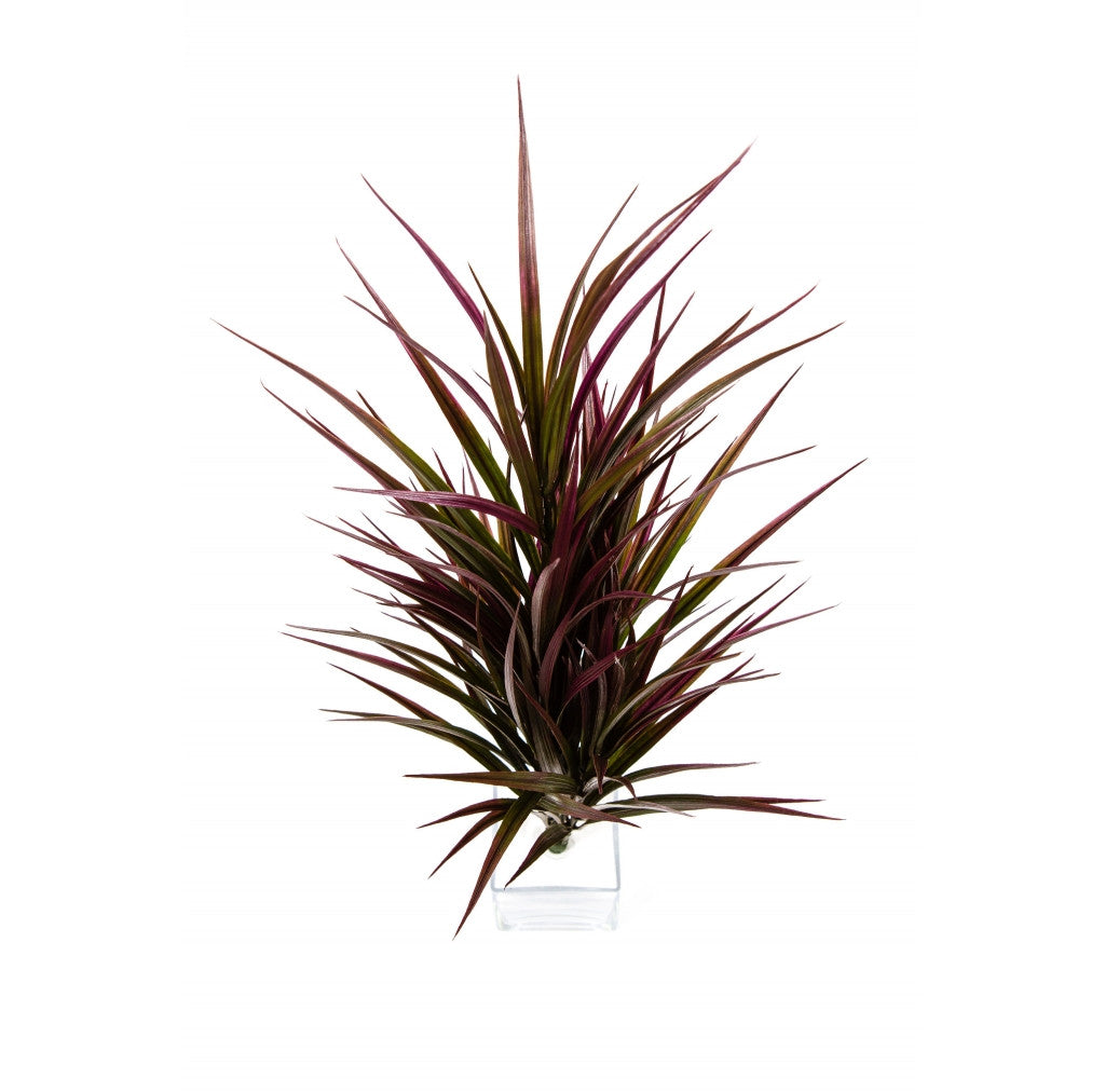 Photo of Purple Grass, 24"  - Marquis Gardens