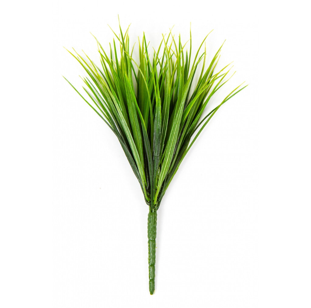 Photo of Vanilla Grass Green, 12"  - Marquis Gardens