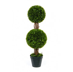 Photo of Podocarpus Topiary With Two Ball, 36"  - Marquis Gardens