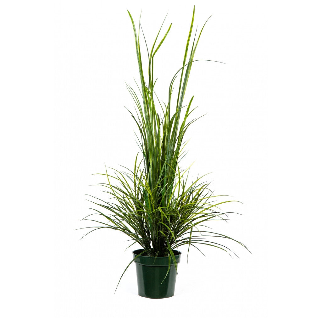 Photo of River Grass, 58"  - Marquis Gardens