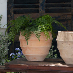 Malaga Planter - Terra Cotta - S/4