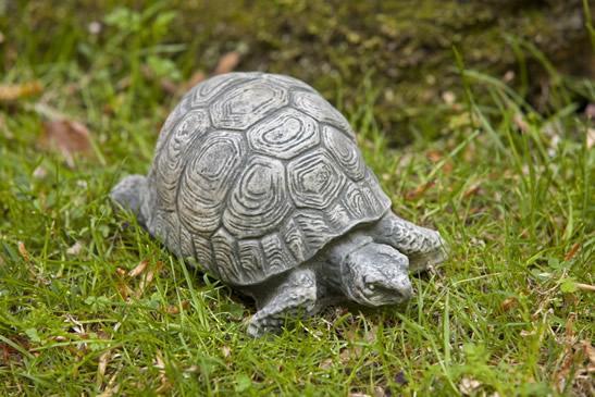 Photo of Campania Turtle Small - Marquis Gardens