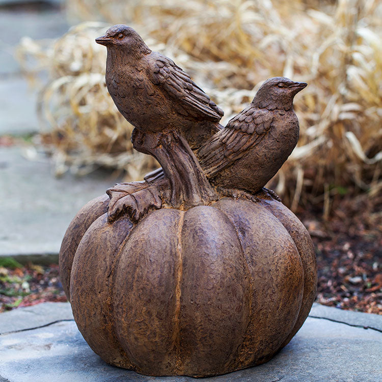 Photo of Campania Birds on Pumpkin - Marquis Gardens