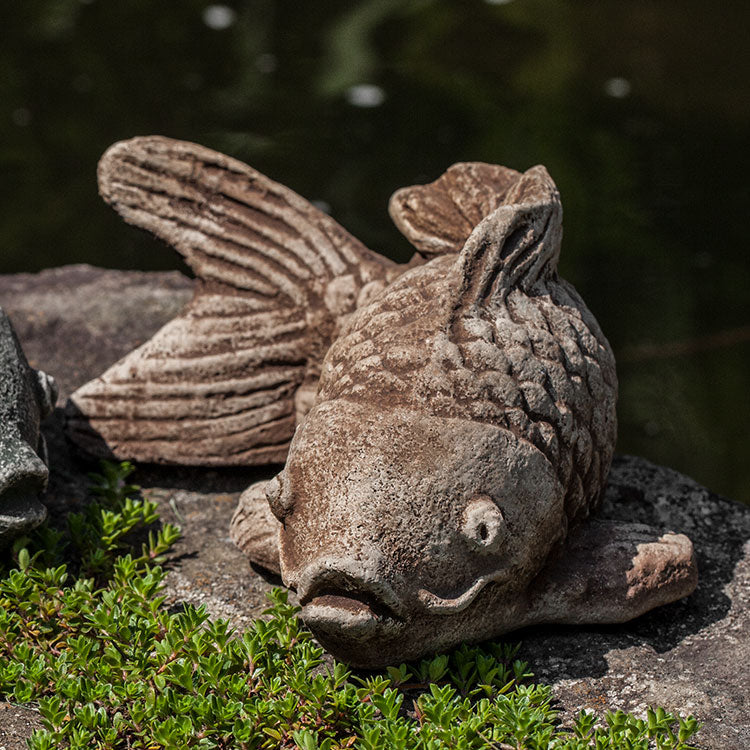 Photo of Campania Coy Koi - Marquis Gardens