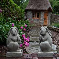 Photo of Campania Newport Rabbit Set - Marquis Gardens