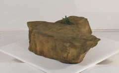 Photo of Accent Rock - AR-012 by Universal Rocks - Marquis Gardens