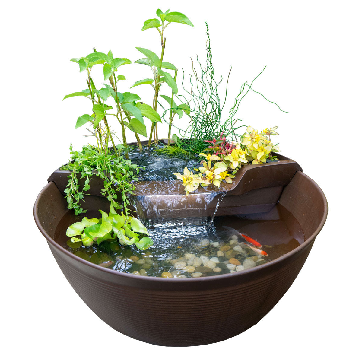 Photo of Aquascape AquaGarden Mini Pond Kit - Marquis Gardens