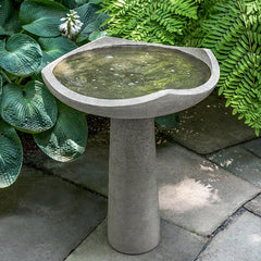 Photo of Campania Oslo Birdbath Medium - Marquis Gardens