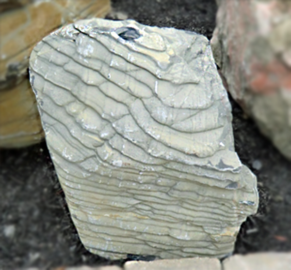 Photo of Bubble Rock 32 Metamorphic (Small)  - Marquis Gardens