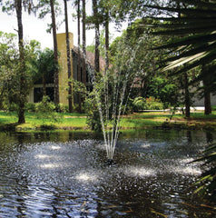 Oase Floating Fountain with Lights