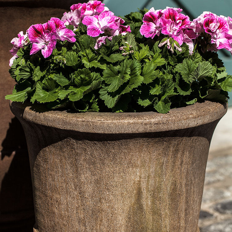 Photo of Campania Pascal Urns - Marquis Gardens