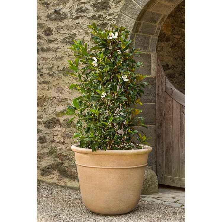 Photo of Campania Carema Planter Series - Marquis Gardens