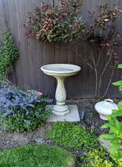 Photo of Campania Wyndmoor Birdbath - Marquis Gardens