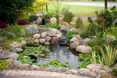 Photo of Aquascape Deluxe Pond Kit - Marquis Gardens