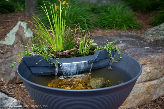 Photo of Aquascape AquaGarden Mini Pond Kit - Marquis Gardens