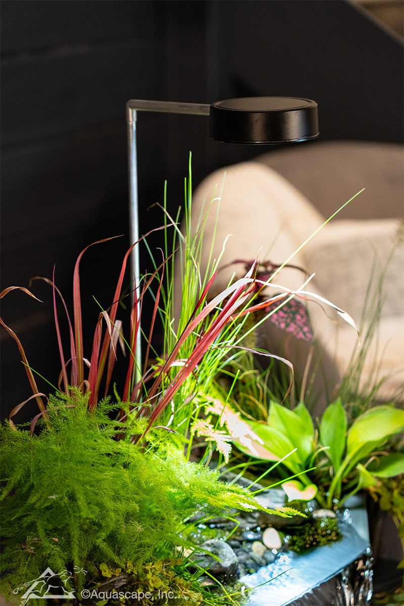 Photo of Aquascape AquaGarden Plant Light - Marquis Gardens