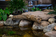 Photo of Aquascape Faux Driftwood - Marquis Gardens