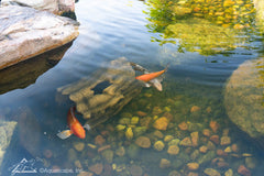 Photo of Aquascape Faux Log Fish Cave - Marquis Gardens