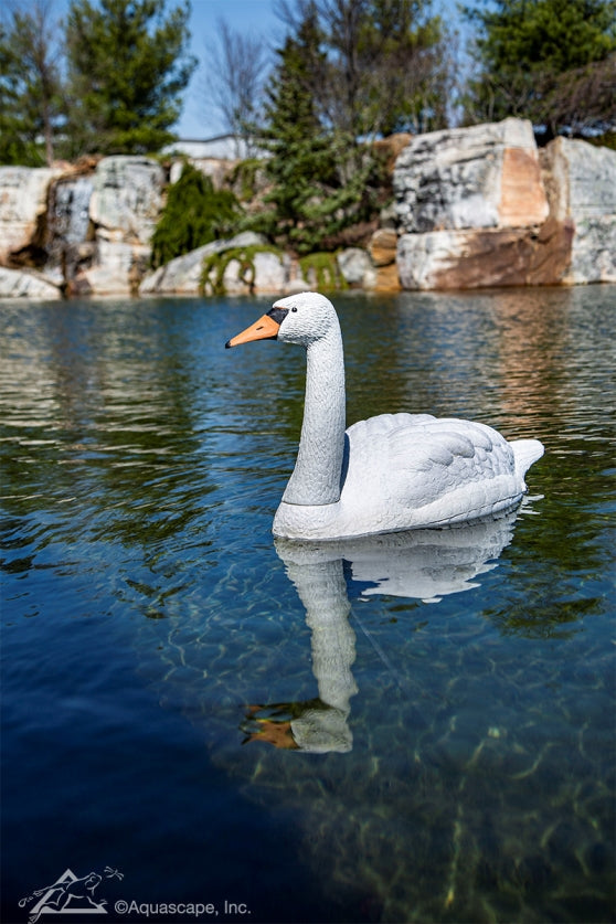 Photo of Aquascape Floating Swan Decoy - Marquis Gardens