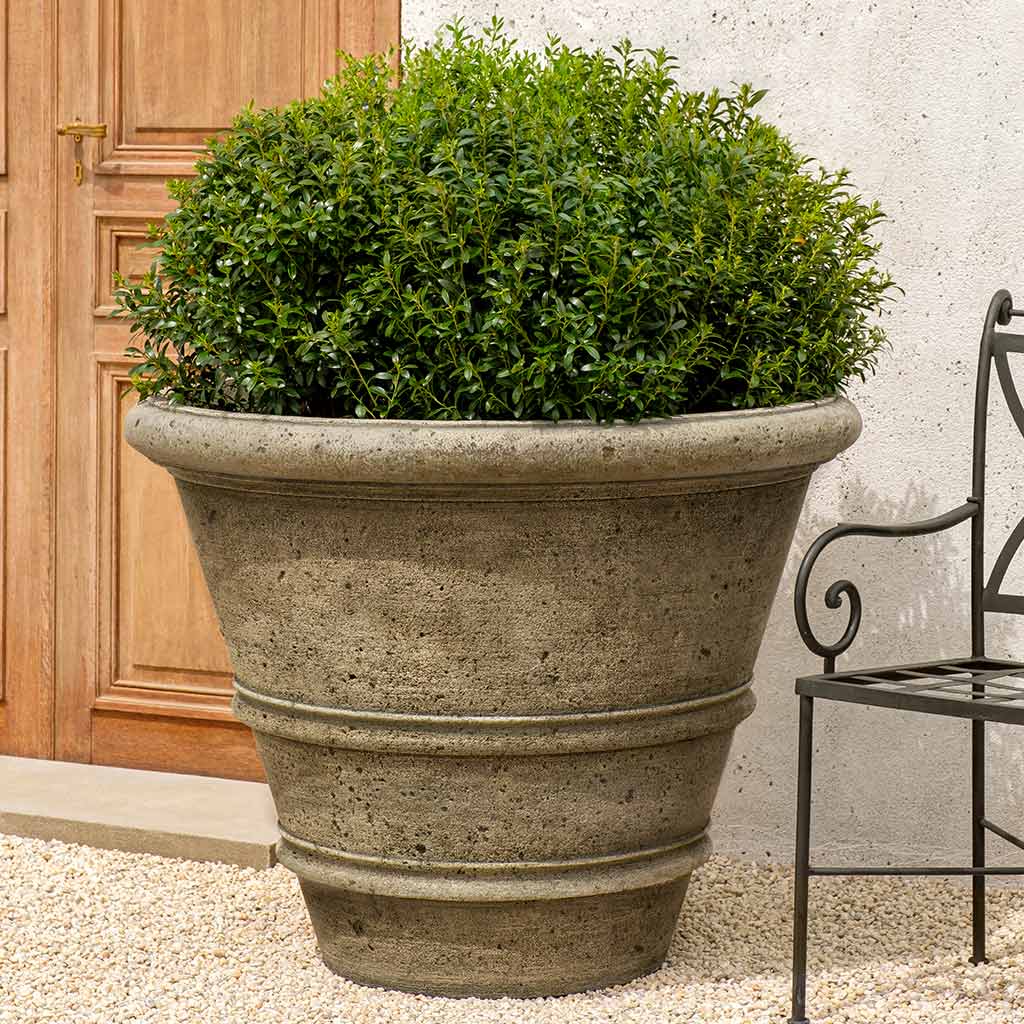 Photo of Campania Rustic Rolled Rim - Marquis Gardens