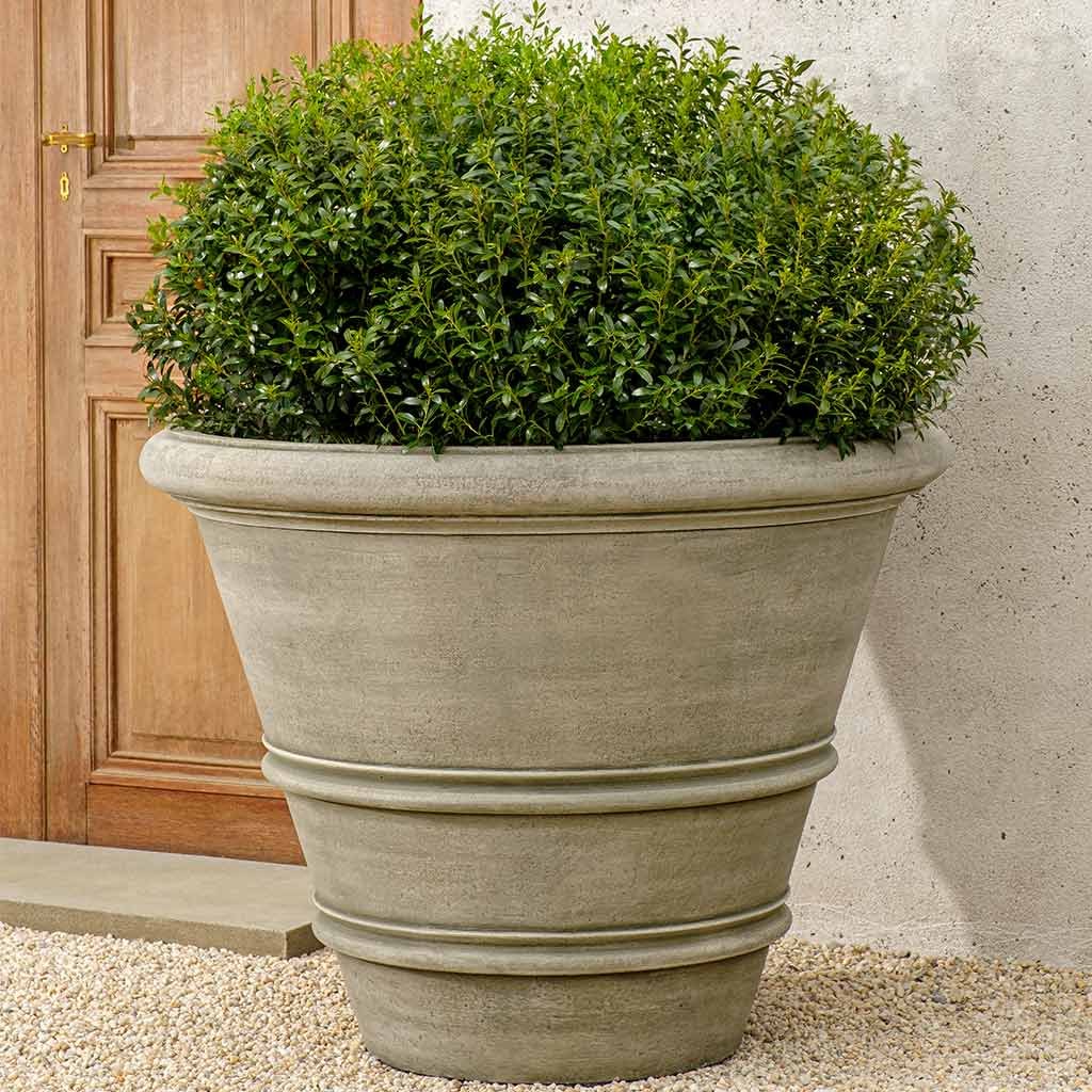 Photo of Campania Rustic Rolled Rim - Marquis Gardens