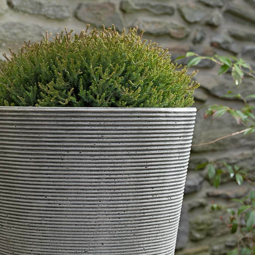 Photo of Campania Pimlico Planter - Marquis Gardens