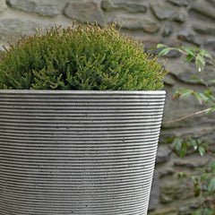 Photo of Campania Pimlico Planter - Marquis Gardens