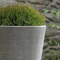 Photo of Campania Pimlico Planter - Marquis Gardens