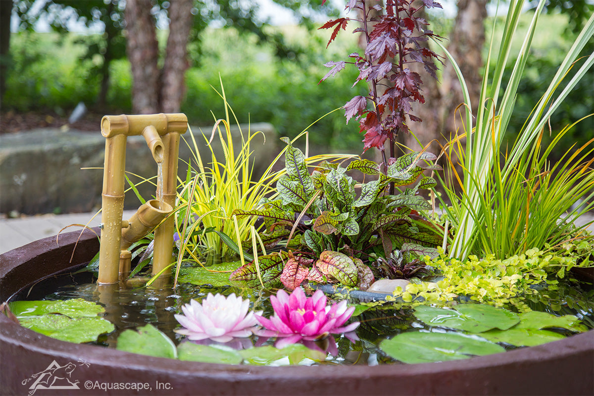 Photo of Aquascape Bamboo Fountains - Marquis Gardens