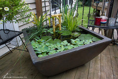 Photo of Aquascape Square Textured Gray Slate Patio Ponds - Marquis Gardens