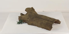 Photo of Floating Log 005 - Marquis Gardens