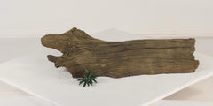 Photo of Floating Log 005 - Marquis Gardens