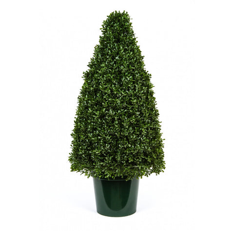 Tea Leaf Cone Topiary, 36