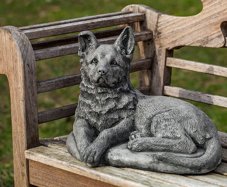 Photo of Campania Shepherd Pup - Marquis Gardens