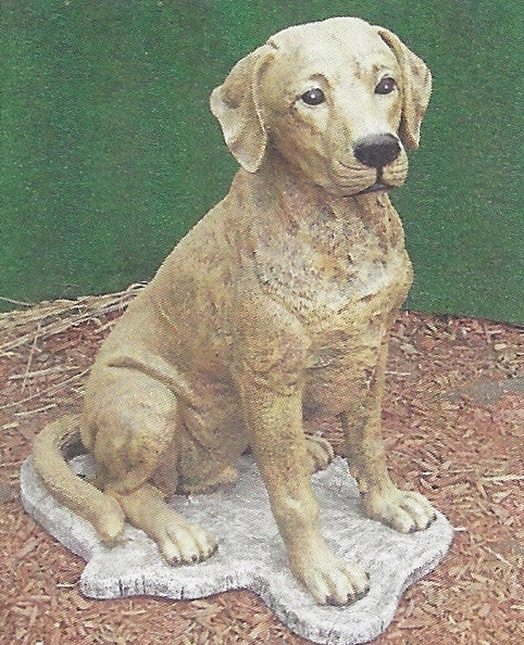 Photo of Lab Dog - Marquis Gardens